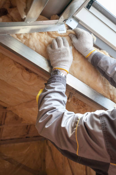 Best Insulation Maintenance and Repair in Hemby Bridge, NC