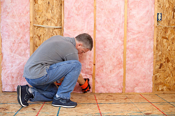 Types of Insulation We Offer in Hemby Bridge, NC