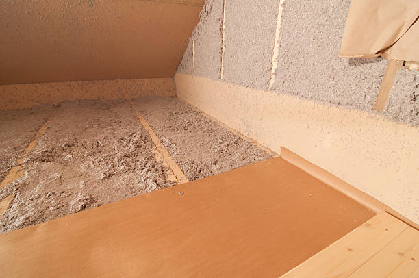 Best Specialized Insulation Services in Hemby Bridge, NC